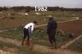 Le départ en 1982  de notre potager  ... Nénette et Papa