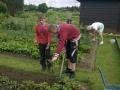 L'apprentissage des jardiniers... Juillet 2012