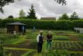 Le potager Juin 2012