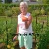 Tomate de 470 gr