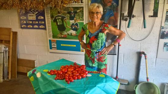 Une des récoltes de tomates  Août 2019