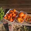 Une des récoltes du 29 Août 2019...Tomates et Framboises